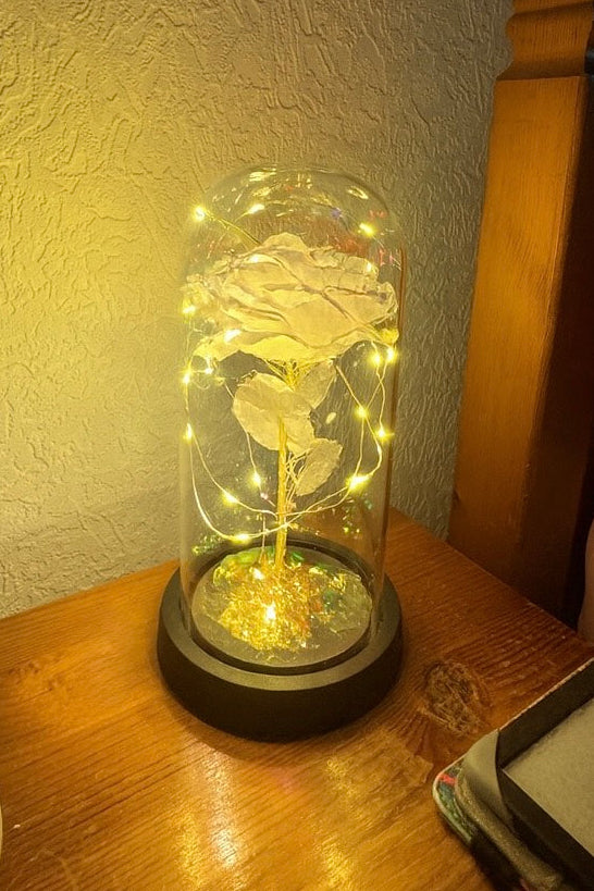 New Year Bundle🌹🐻